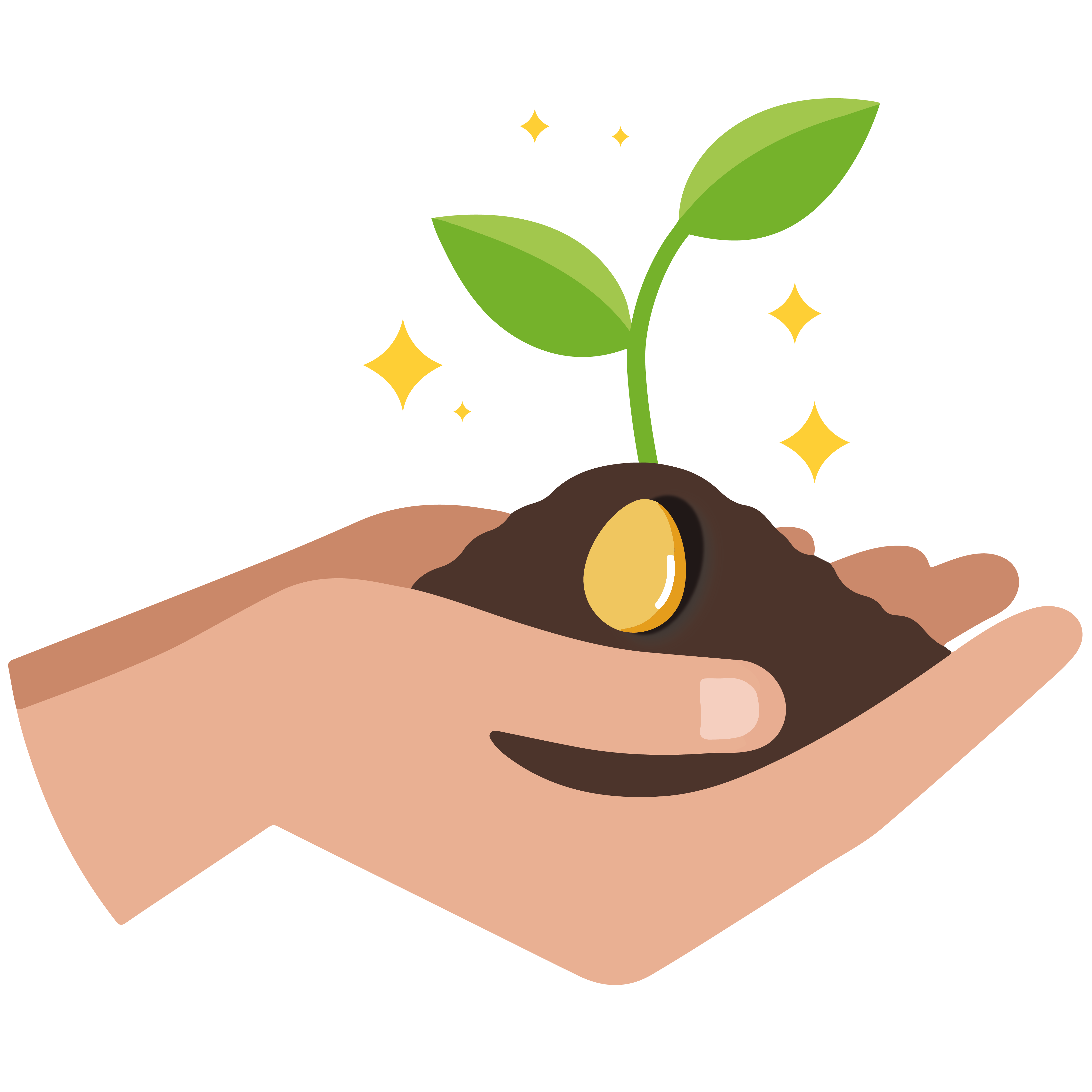 Ilustración de una planta